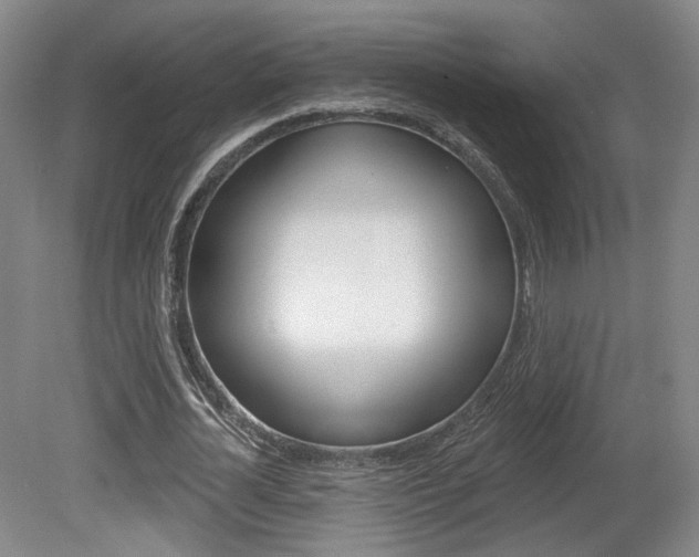 X0000080740724200612150931