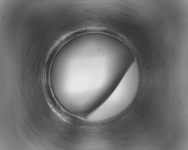 X0000080740726200612150931