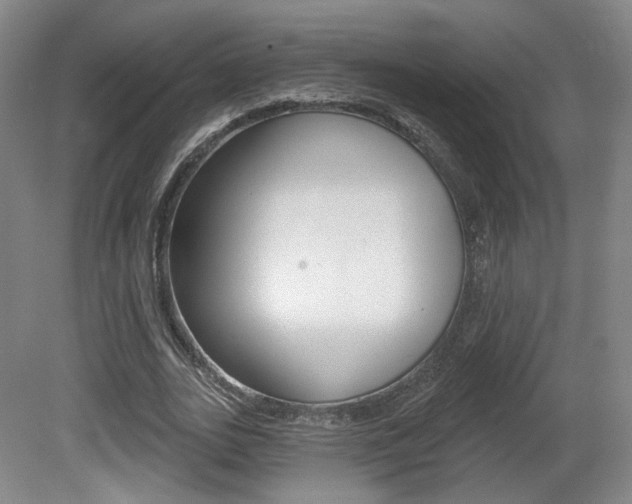 X0000080740727200612150931