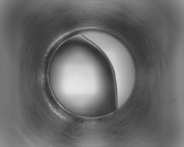 X0000080740728200612150931