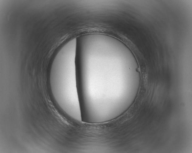 X0000080740729200612150931