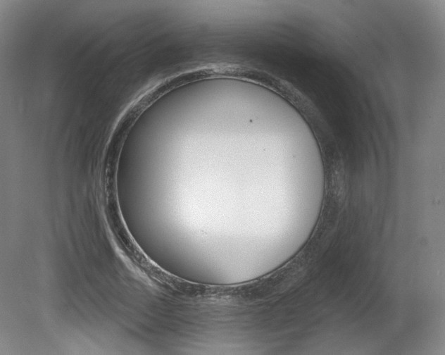 X0000080740730200612150931