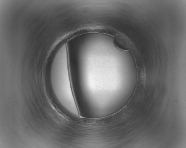 X0000080740732200612150931