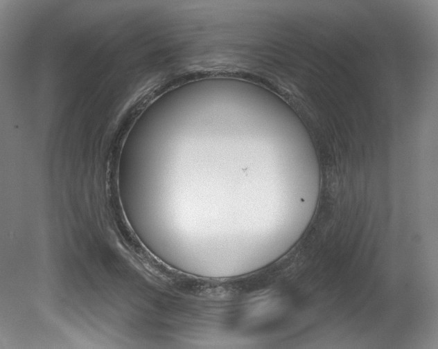 X0000080740735200612150931