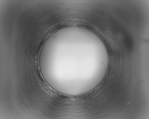 X0000080740737200612150931