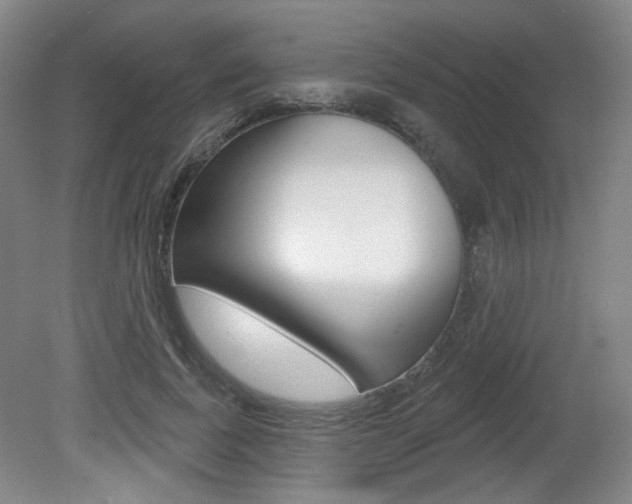 X0000080740739200612150931