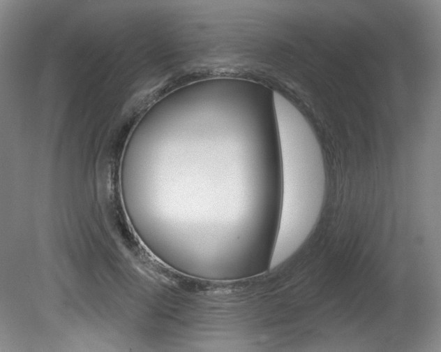 X0000080740740200612150931