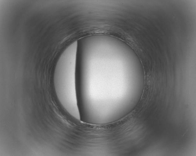 X0000080740741200612150931