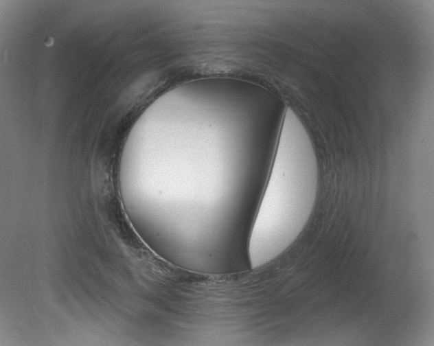 X0000080740743200612150931