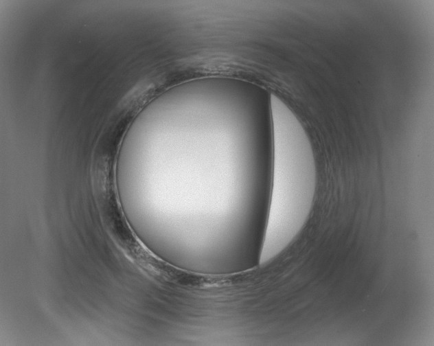 X0000080740744200612150931