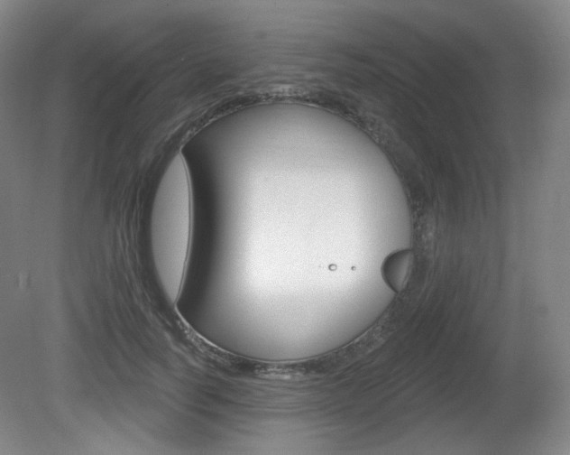 X0000080740746200612150931