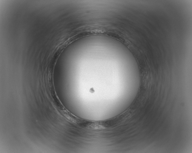 X0000080740747200612150931
