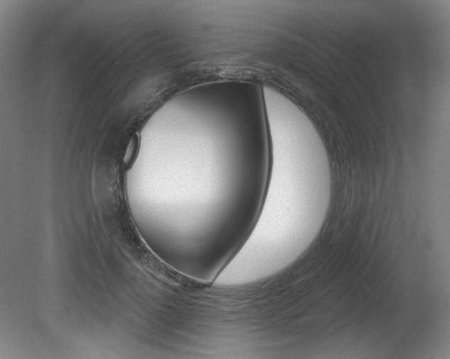 X0000080740748200612150931