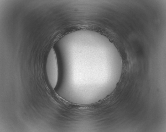 X0000080740749200612150931