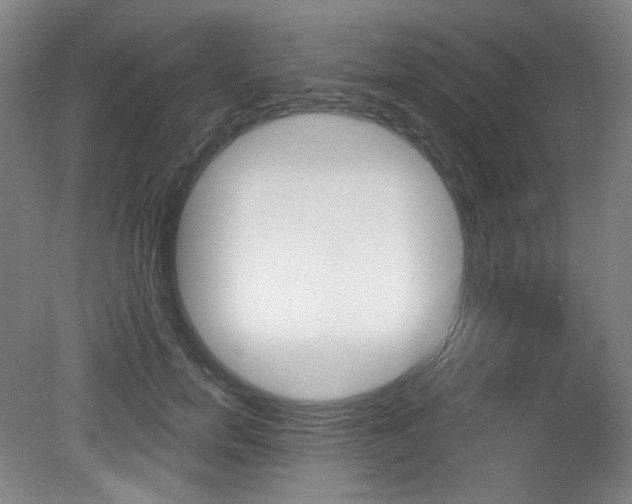 X0000080740750200612150932