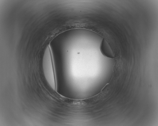 X0000080740752200612150932