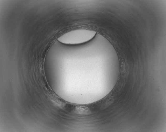 X0000080740753200612150932
