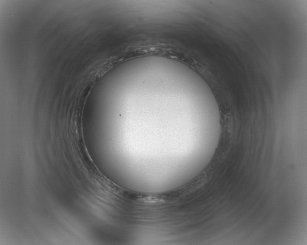 X0000080740754200612150932