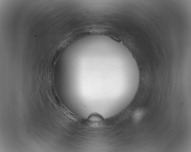 X0000080740755200612150932