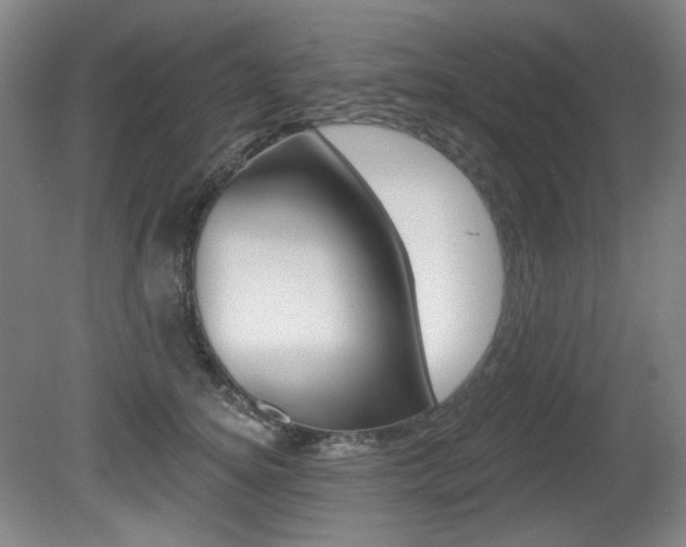 X0000080740756200612150932