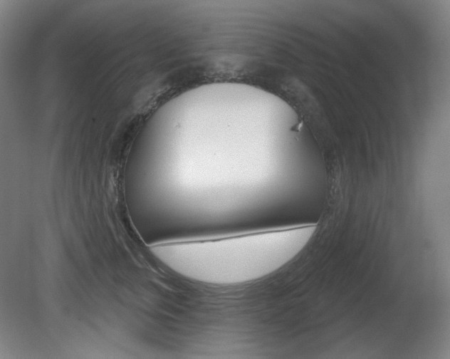 X0000080740759200612150932