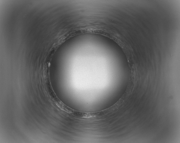 X0000080740760200612150932