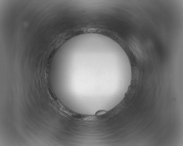 X0000080740761200612150932