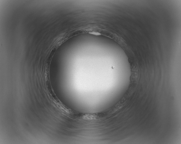 X0000080740762200612150932