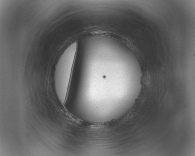 X0000080740763200612150932