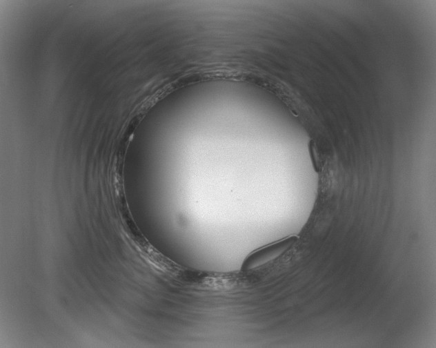 X0000080740764200612150932