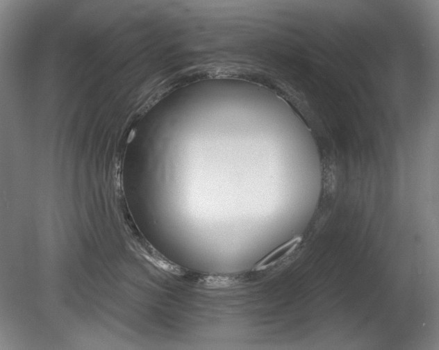 X0000080740766200612150932