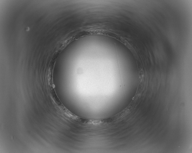 X0000080740767200612150932