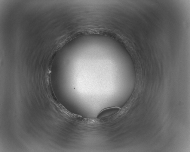 X0000080740768200612150932