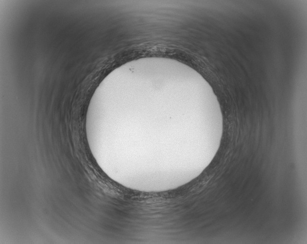 X0000080740769200612150931