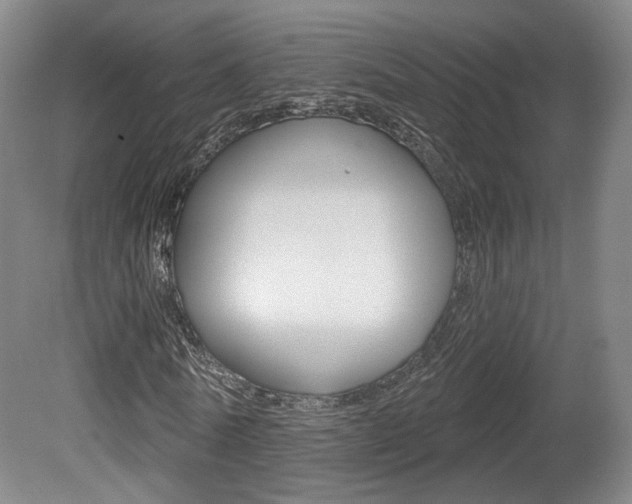 X0000080740770200612150931