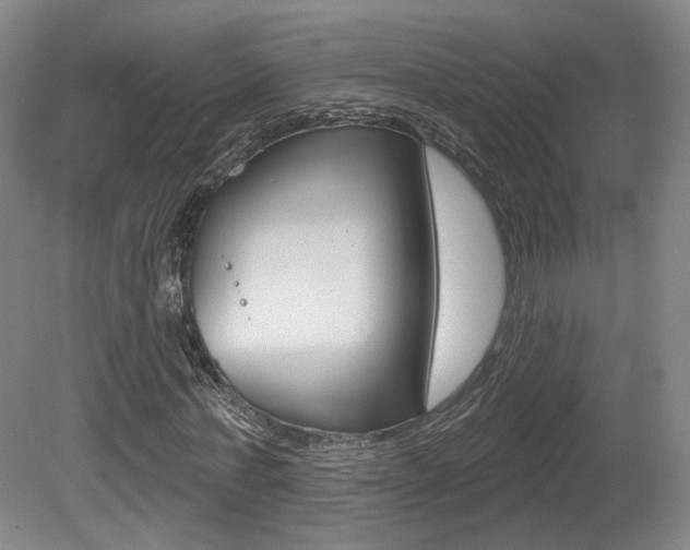 X0000080740771200612150931