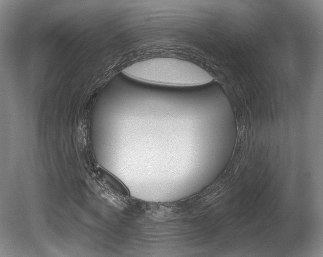 X0000080740772200612150931