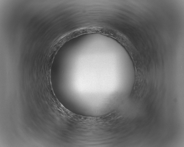 X0000080740773200612150931