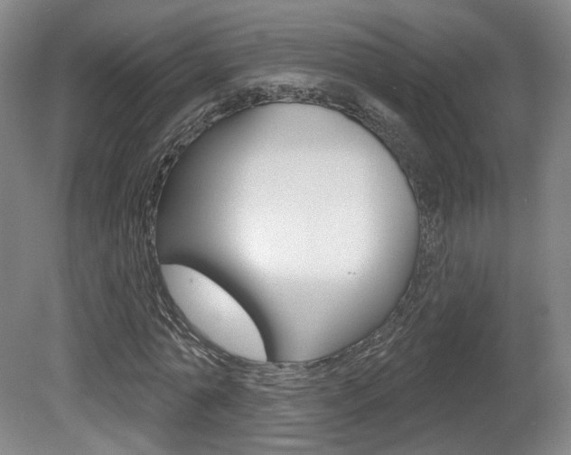 X0000080740774200612150931