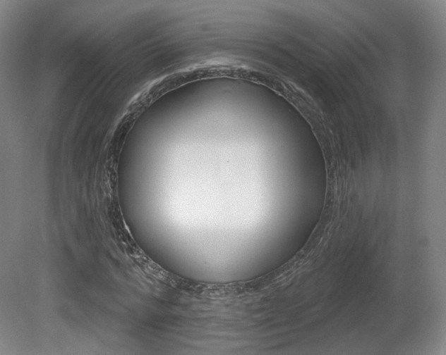 X0000080740776200612150931