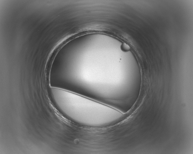 X0000080740779200612150931