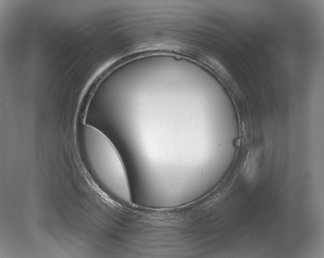 X0000080740780200612150931