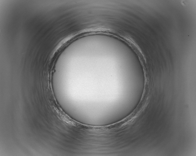 X0000080740781200612150931
