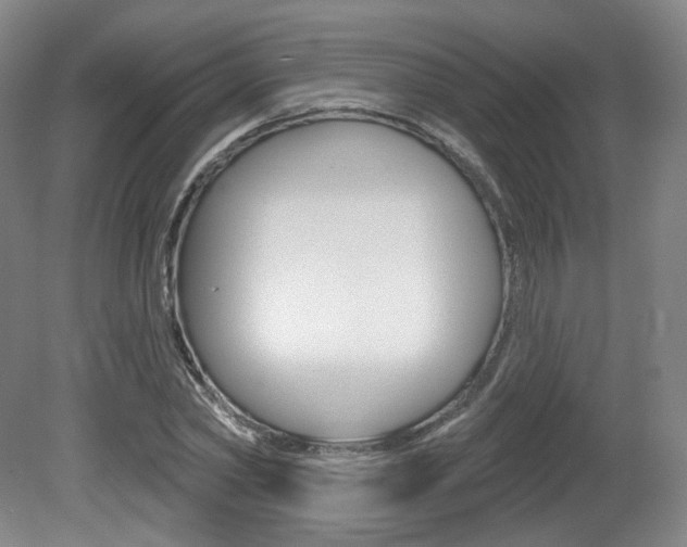 X0000080740782200612150931