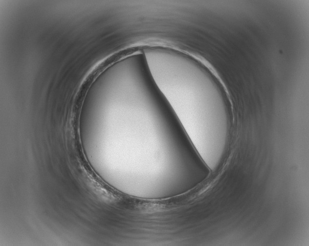 X0000080740783200612150931