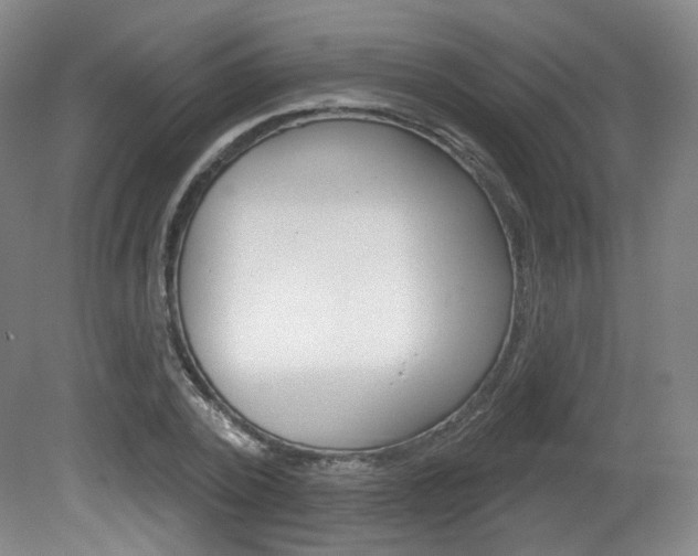 X0000080740784200612150931