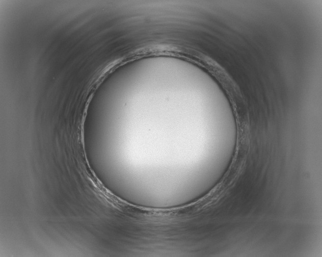 X0000080740785200612150931