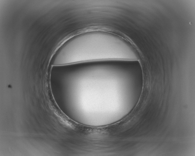 X0000080740786200612150931