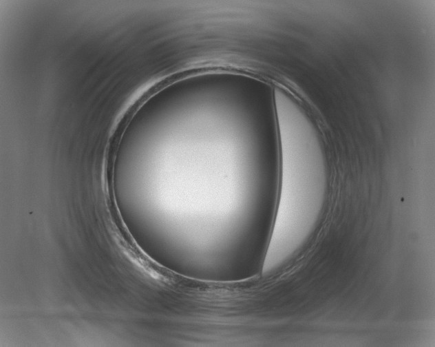 X0000080740788200612150931