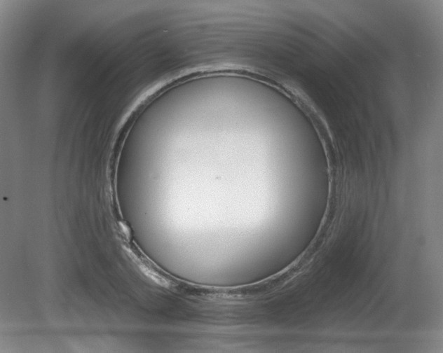 X0000080740789200612150931